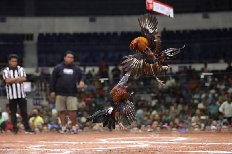 Top fighters to clash in today's second round elims of 2025 World Slasher Cup 1